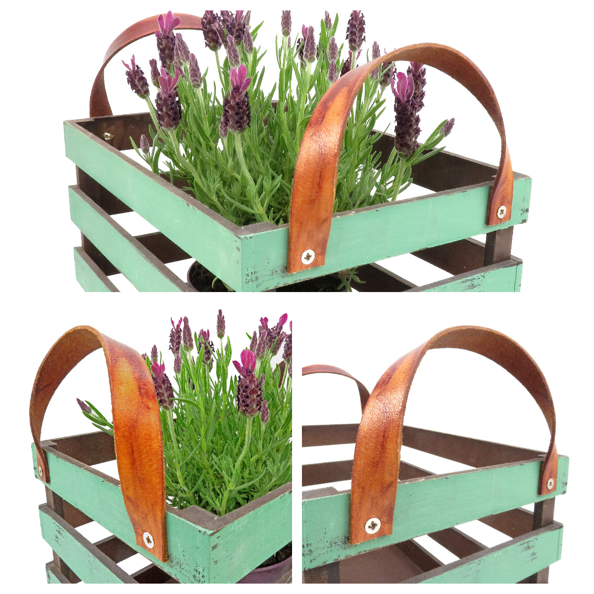 esnado Lederriemen, 20 mm x 2,5 mm - Antik Braun