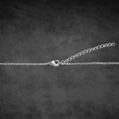 Panzerkette Edelstahl 1,6 mm –  mit Karabinerverschluss - Länge: wählbar